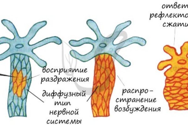 Кракен топ