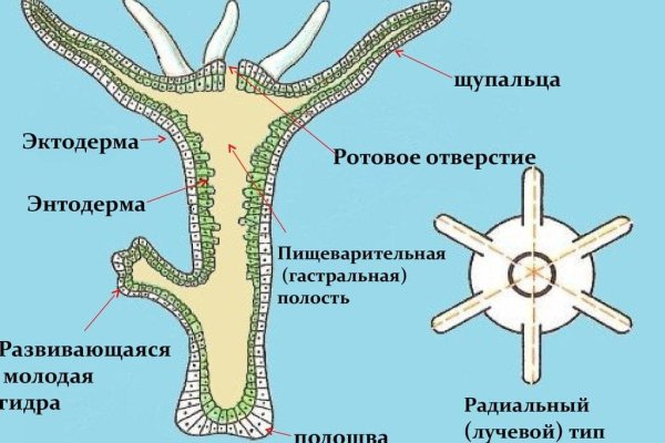 Что такое кракен площадка