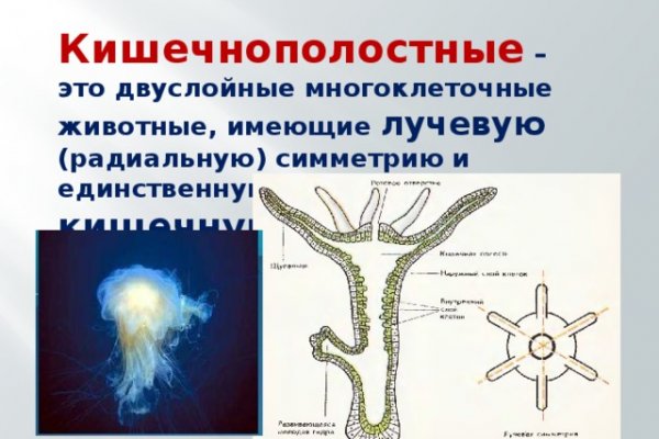 Кракен даркнет плейс