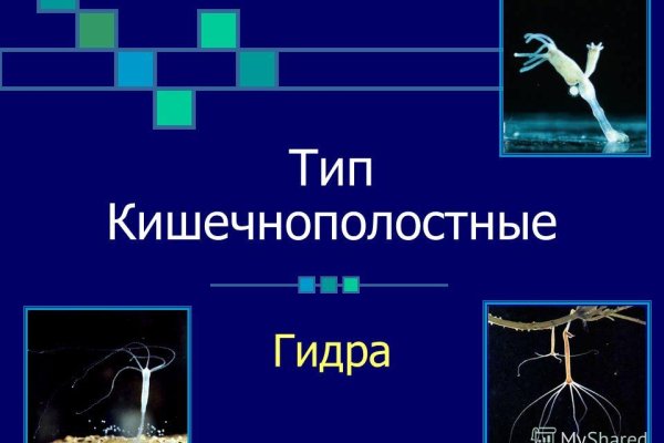 Кракен ссылка новая