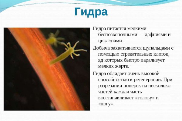 Кракен ссылка на сайт
