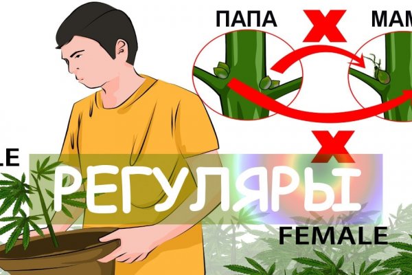 Кракен 2krnk
