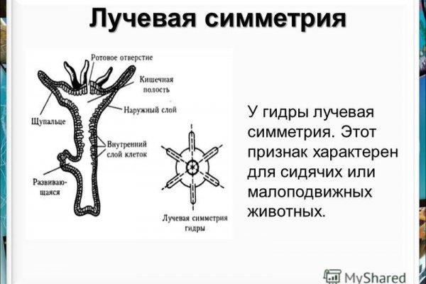 Сайты наркоты