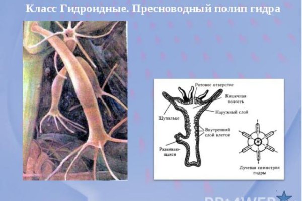 Кракен дарк ссылка
