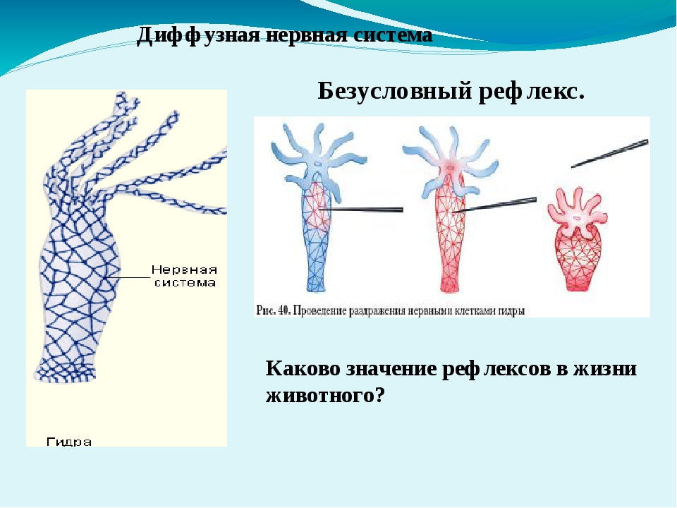 Кракен ссылка купить соли
