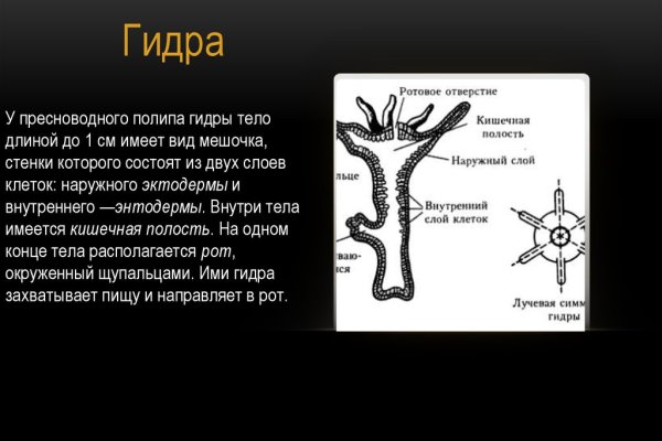 Ссылка на кракен