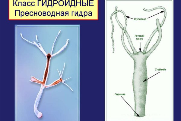 Сайт kraken darknet