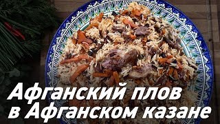 Kraken18 at